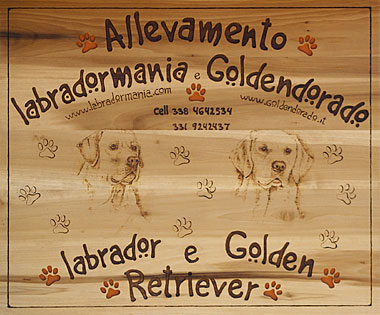 Labradormania - Allevamento di Labrador retriever